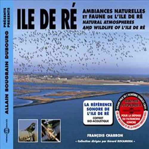 CD cover featuring a large flock of birds over coastal wetlands.