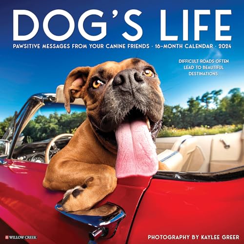 Dog's Life 2024 12 X 12 Wall Calendar