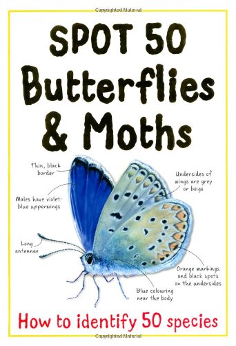 Spot 50 Butterflies and Moths (Large Spot 50 Series)