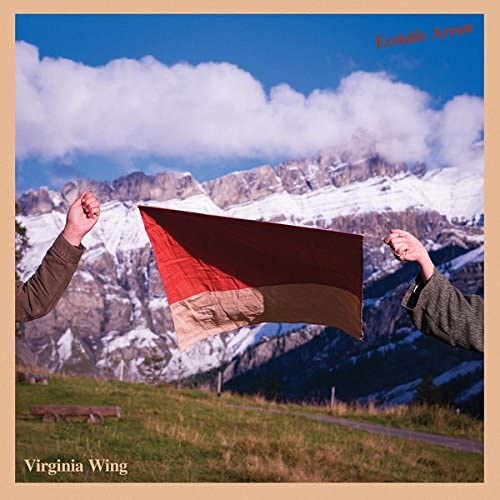 Red and beige flag waving against a mountain and cloudy sky.