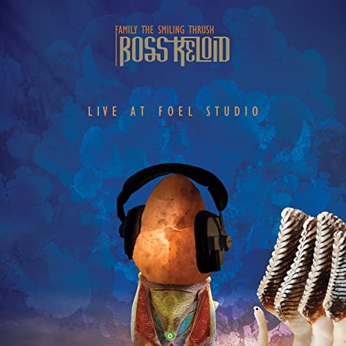 Album cover: a potato with headphones, cloudy blue background, and coral.