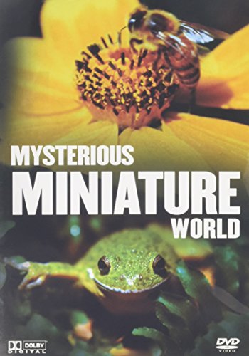 DVD cover with a bee on a flower and a frog, labeled "Mysterious Miniature World".