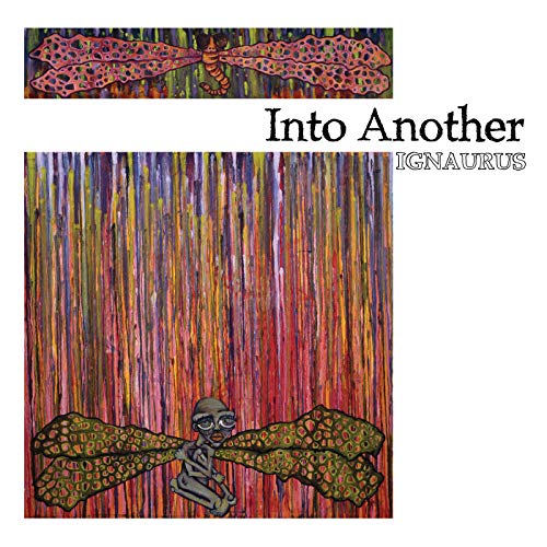 Album cover for "Into Another - Ignaurus" featuring a dragonfly and figure.