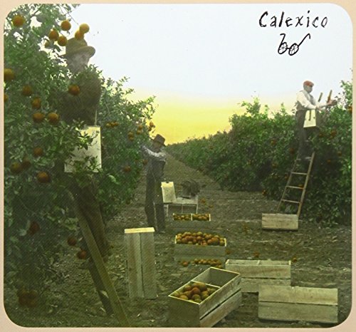 "Album cover with orange orchard scene, three men harvesting, and 'Calexico' handwritten."