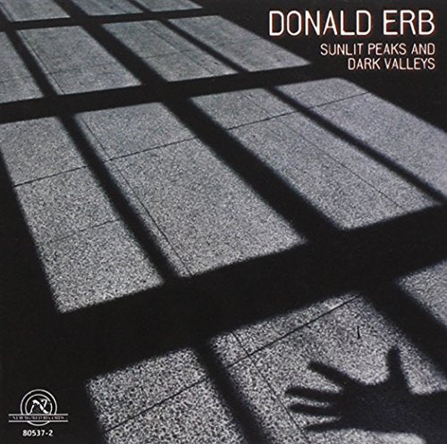 "Album cover with shadowy bars on a stone floor and artist's name."