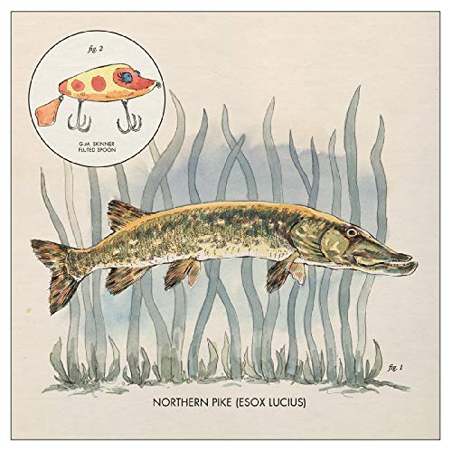 A vinyl record sleeve with a watercolor illustration of a fish and fishing lure.