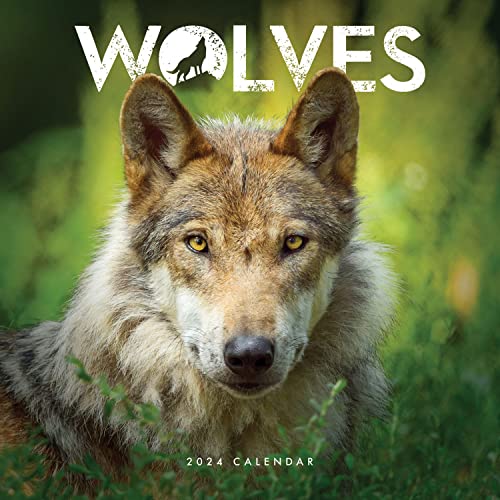 Wolves Wallcalendar