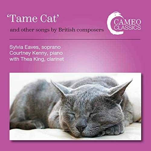 A grey cat sleeps on a white surface, on a pink album cover.