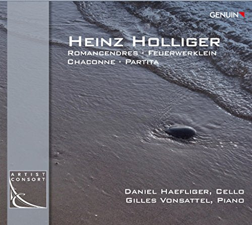 A CD cover featuring a wet beach scene with a stone.