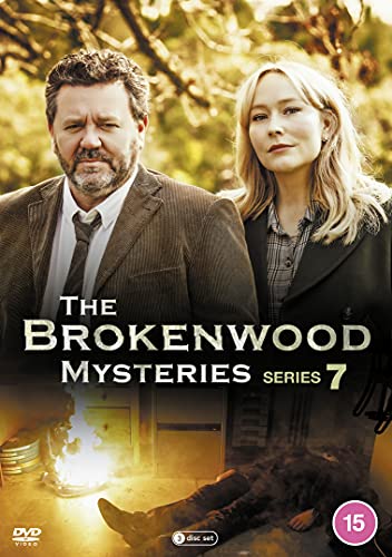 DVD cover featuring two detectives with a burning object and a body below.