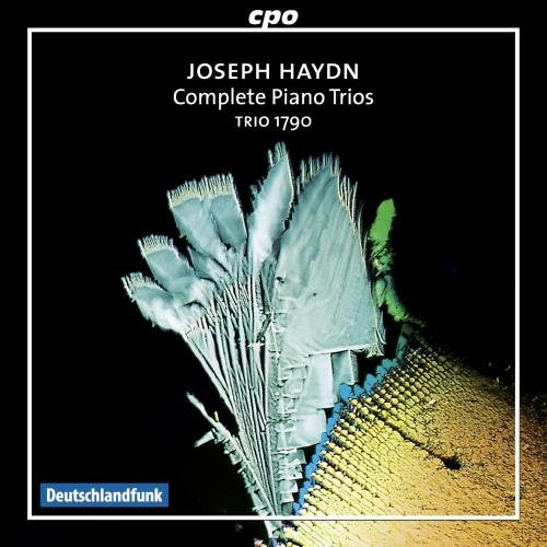 CD cover for Haydn’s Complete Piano Trios, Trio 1790, with abstract art.