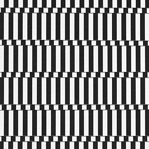 The image depicts a black-and-white striped pattern. Alt text: Black and white striped pattern with varying line lengths.