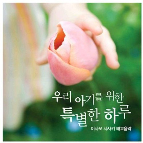 CD cover with hands gently holding a pink, blooming tulip.