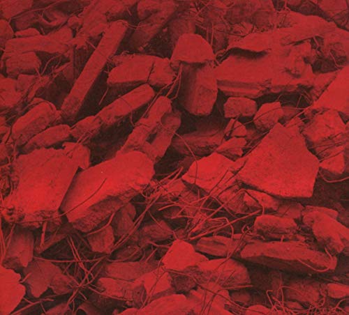 Red abstract album cover with rock-like shapes and sparse vegetation.