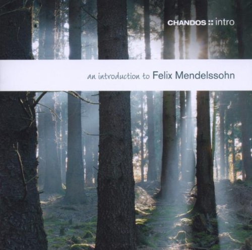"Album cover featuring a serene forest with tall trees and misty green atmosphere."