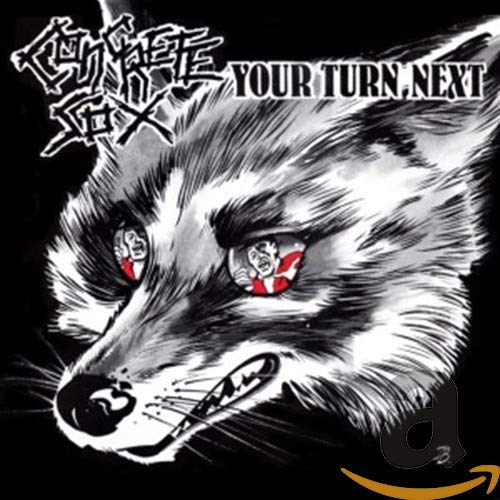 CD cover: black and white raccoon illustration with faces in its eyes.