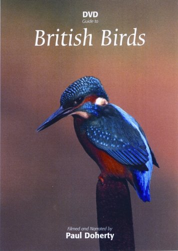 DVD cover featuring a blue and orange kingfisher perched on a branch, with title text.