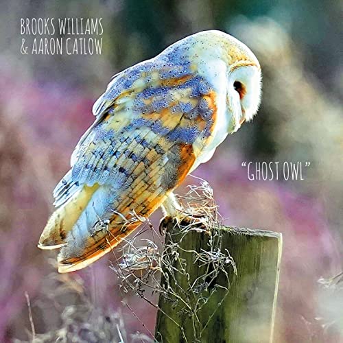CD cover featuring a painted barn owl perched on a post.
