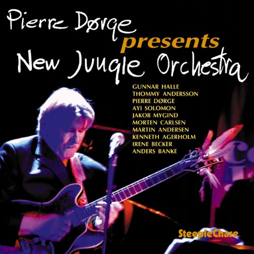CD cover featuring a guitarist and text: "Pierre Dorge presents New Jungle Orchestra".