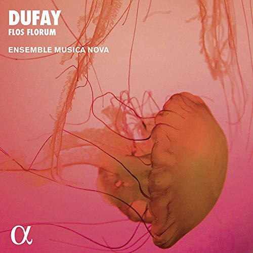 A CD cover featuring a jellyfish on a pink background with white text.