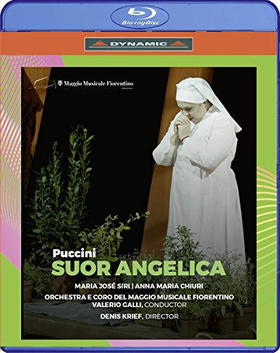 Blue-ray case with a nun in white praying beside green plants.