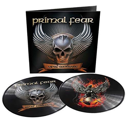 Two black vinyl records with a skull and wings album cover.