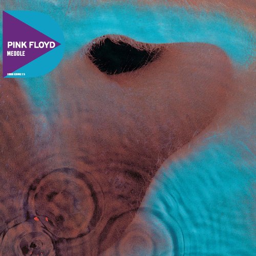 "Pink Floyd's Meddle album cover featuring an abstract ear and purple logo."
