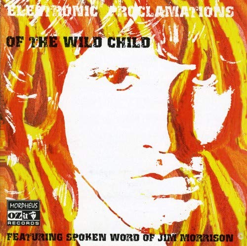 CD cover featuring a blurred, fiery portrait of Jim Morrison.
