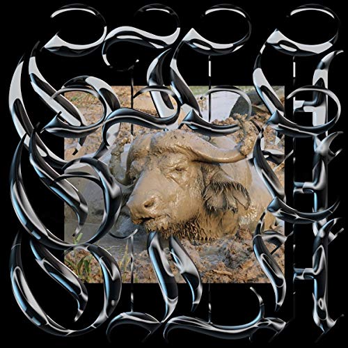 A vinyl record cover featuring a bison head surrounded by a silver, abstract border.