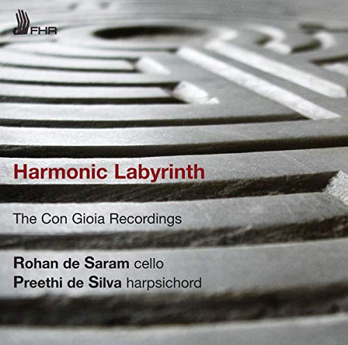 CD cover with abstract metal texture and red text: āHarmonic Labyrinth.ā