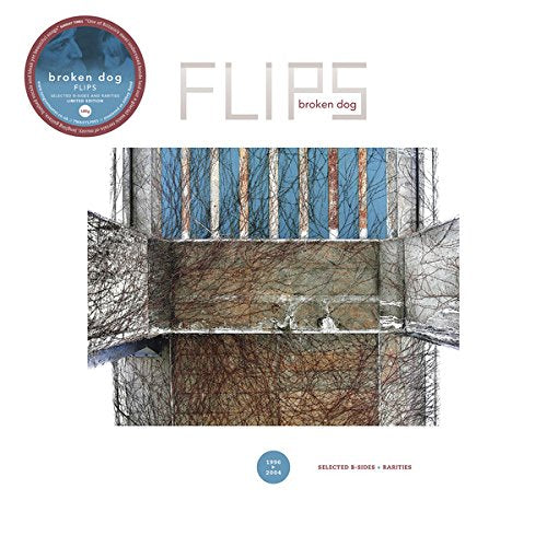 Vinyl album cover for “Flips” by Broken Dog, featuring a window image.