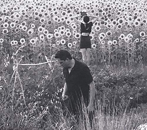 Black and white photo of two people in a sunflower field.