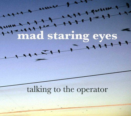 "CD cover with birds on power lines against a blue and yellow sky."