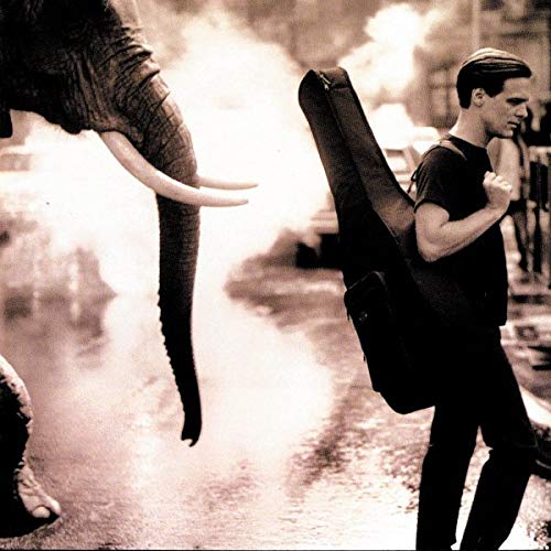 Bryan Adams album cover with an elephant and a guitar case.