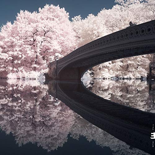 Infrared image of a bridge and trees reflected in water.