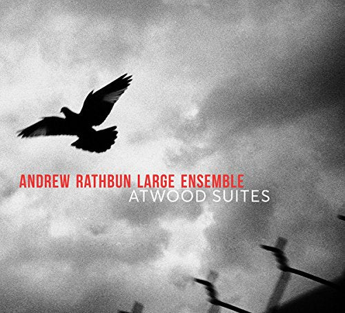 "Album cover featuring a black bird flying in a cloudy sky."
