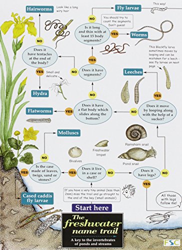 "Book cover showing a flowchart to identify freshwater invertebrates with illustrations."