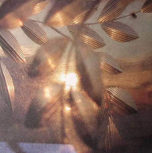 Golden, abstract floral image on a vinyl record cover.