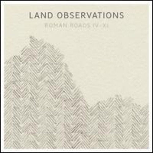 Vinyl record cover with abstract, textured landscape illustration.