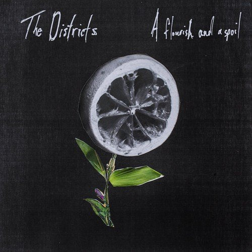 Album cover featuring a lemon slice with leaves on a dark background.