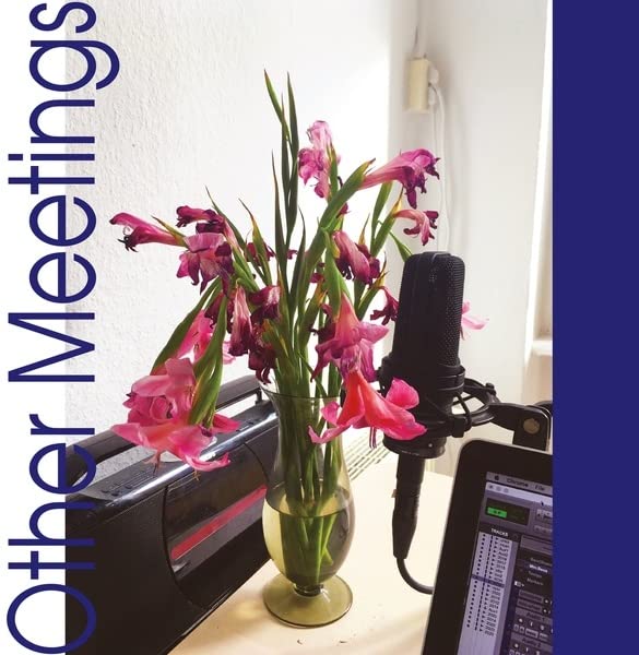 A vase of pink flowers, a microphone, and a laptop on a desk.