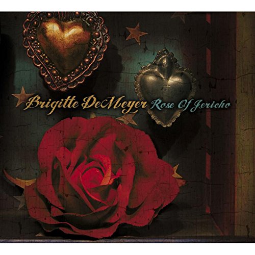 "Album cover featuring a red rose, two ornate hearts, and stars on a dark background."