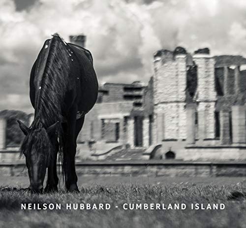 "Album cover featuring a black-and-white image of a horse grazing near a ruined building."