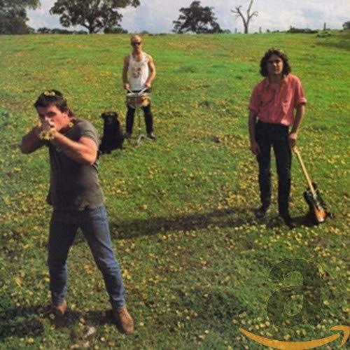 Three people and a dog in a grassy field, album cover.