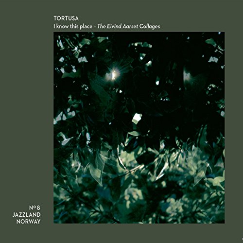CD cover: dark green background with abstract, fractured light shapes.
