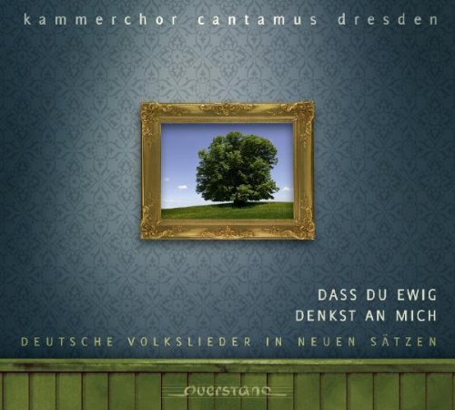 A CD cover featuring a framed picture of a tree on a blue background.