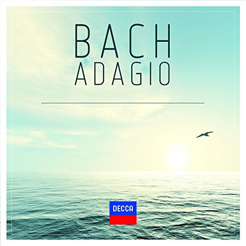 A CD cover featuring a serene ocean scene with a bird in flight.