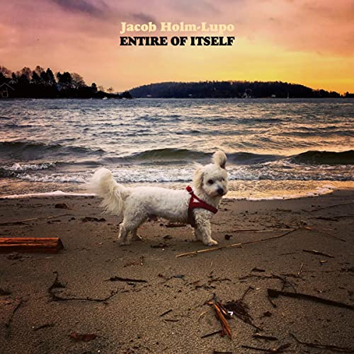 CD cover: small white dog on a beach with a sunset backdrop.