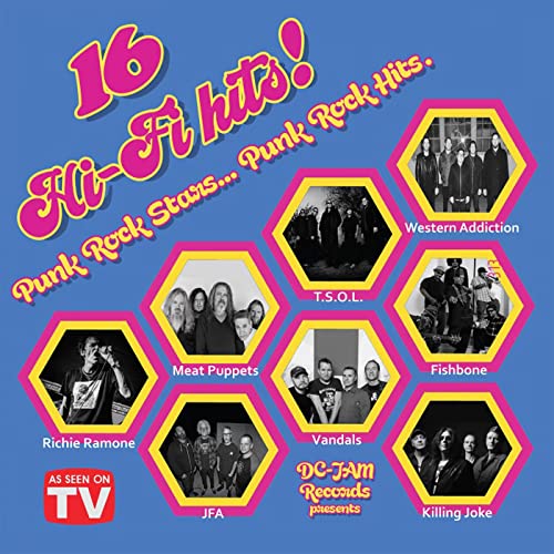 Vinyl album cover featuring hexagonal portraits of punk rock bands.