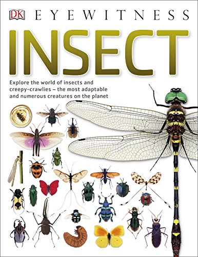 "Book cover with 'Insect' title, featuring various insect images and a dragonfly on a white background."